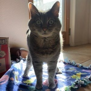 Meet your Posher, Jan